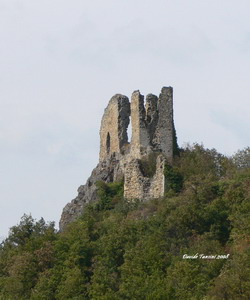 Roccalanzona di Medesano (Parma, Italia). Rocca (Castello di Rocca Lanzona). Torre castellana. 2008