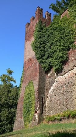 San Colombano al Lambro (Milano, Italia). Rocca. Torre Nord-Ovest. 2009