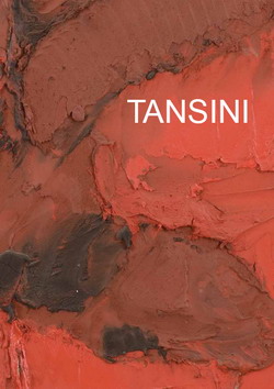 Tansini Erminio. Materia e colore