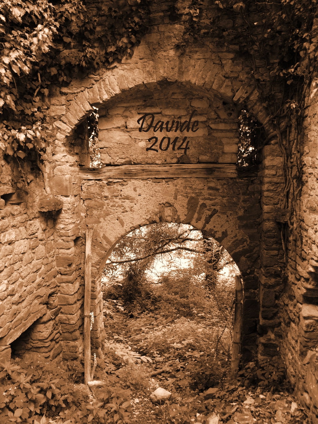 Garbagna (Alessandria, Piemonte – Val Grue, Italia). Castello: ingresso Nord-Ovest. Davide Tansini. 2014. Fotografia digitale